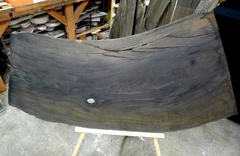 Europian bog oak. Bog or swamp oak, discovered in 1975, in the swamp in South of Germany.